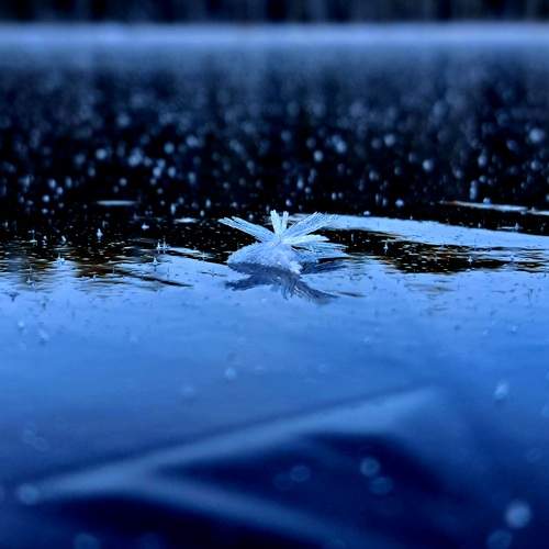 Photo #13016889
