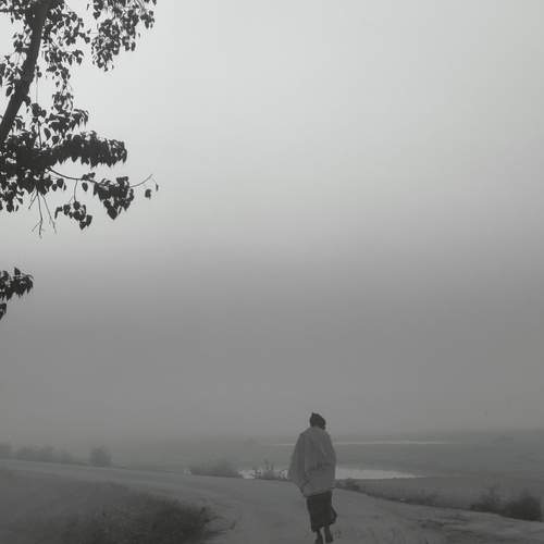 Photo #13016900