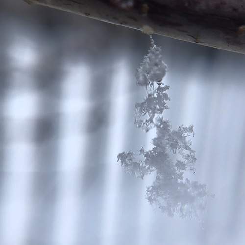 Photo #13016946