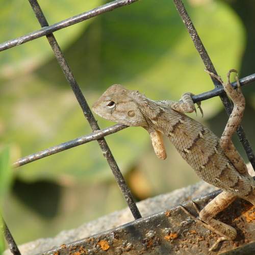 Photo #13016989