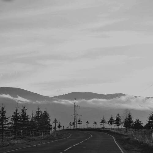 Photo #13017008