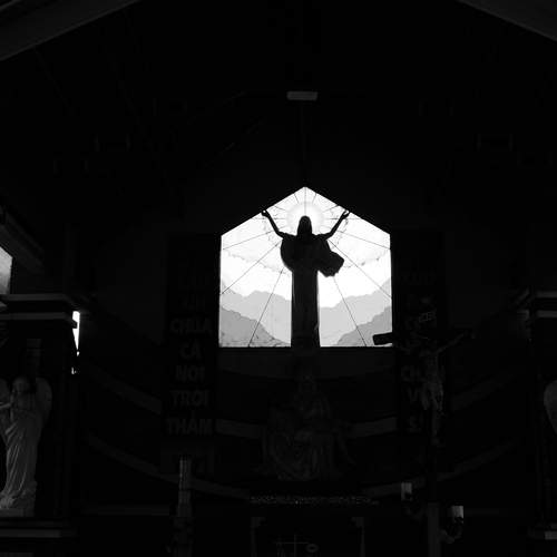 Photo #13017654
