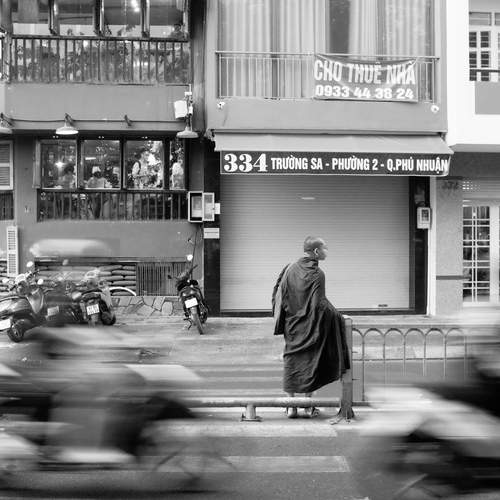 Photo #13017655