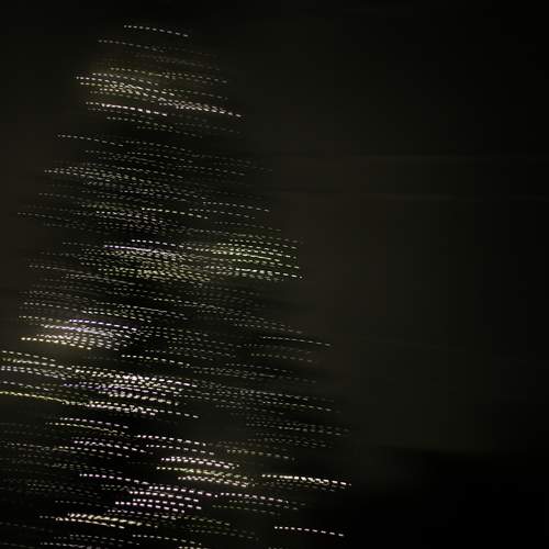 Photo #13017700