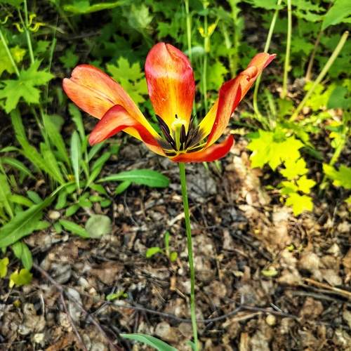 Photo #13017752