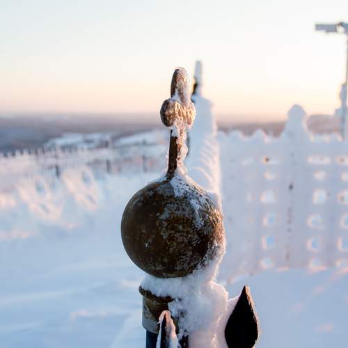 Photo #13017847