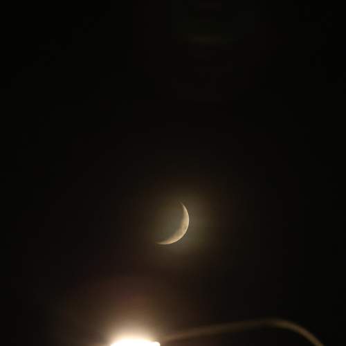 Photo #13017930