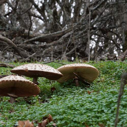 Photo #13018128