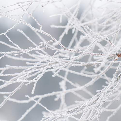 Фотография #13018134