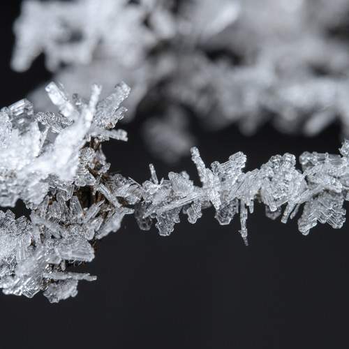 Фотография #13018135