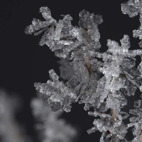 Фотография #13018137