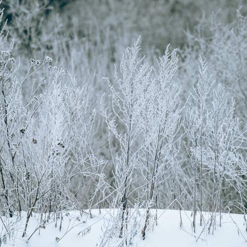 Фотография #13018138