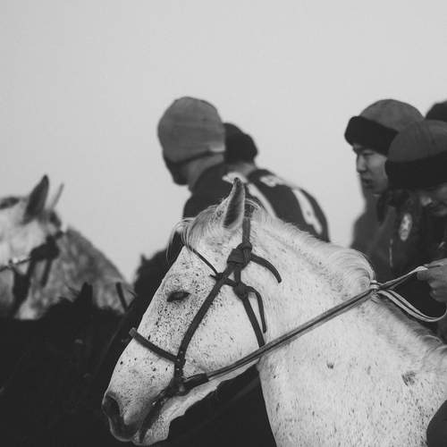 Фотография #13018210