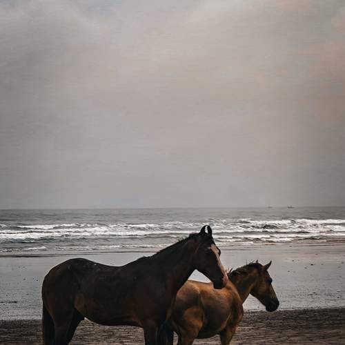 Photo #13018233