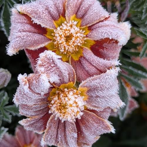 Photo #13018372