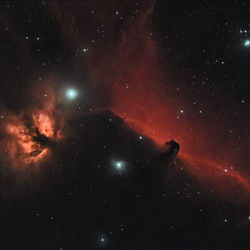 Фотография #13018458