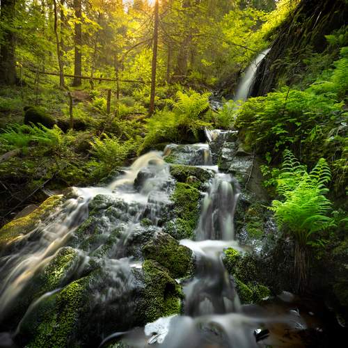 Фотография #13018464