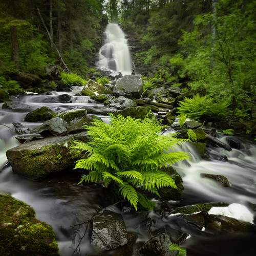 Фотография #13018469