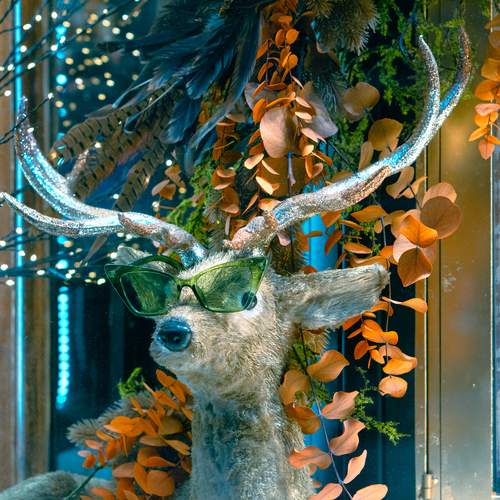 Photo #13018610