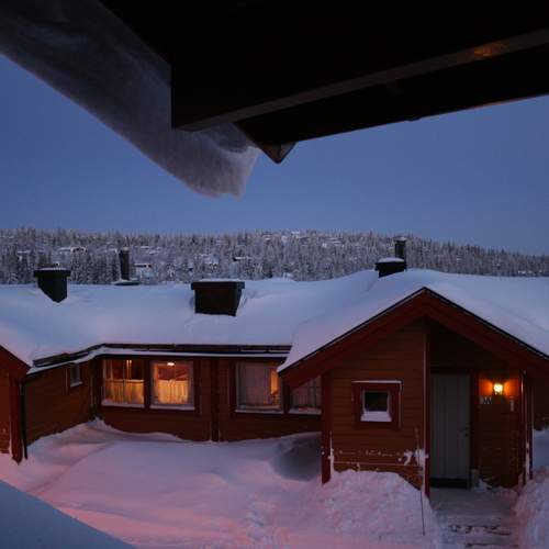 Photo #13018780