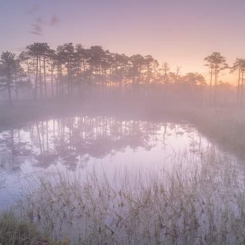 Photo #13018929
