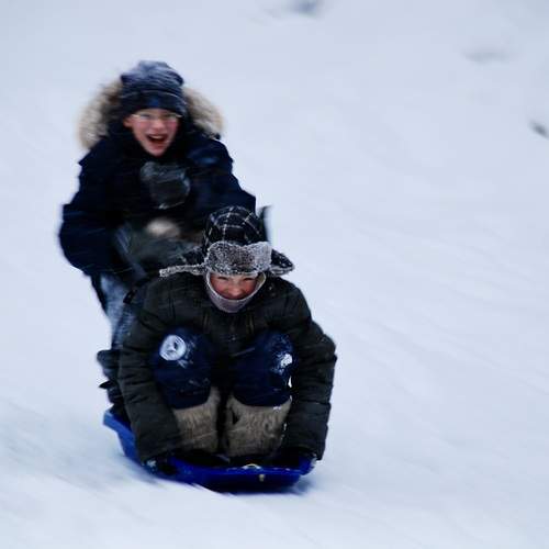 Photo #13018931
