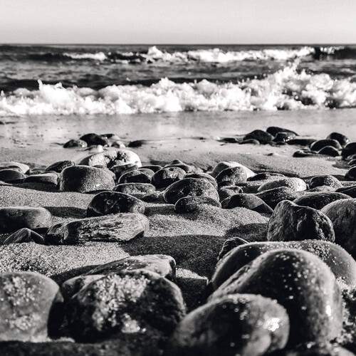 Photo #13019050