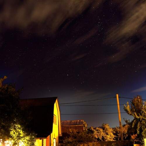 Photo #13019060
