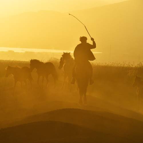 Photo #13019091