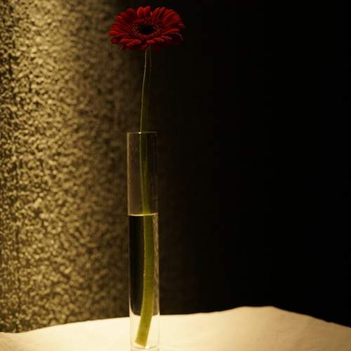 Photo #13019118