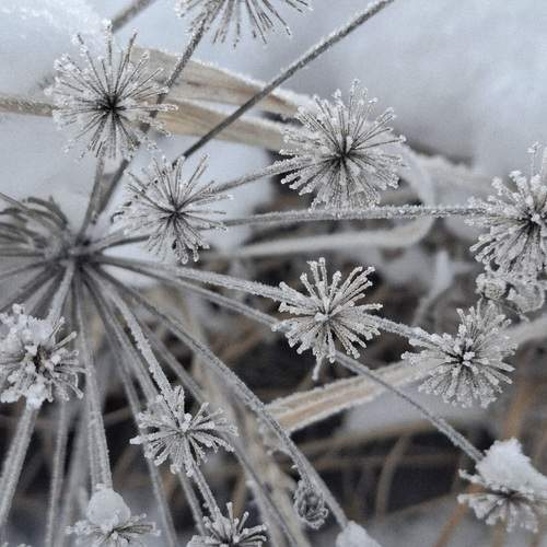 Photo #13019202