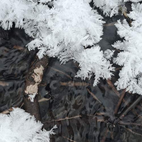 Photo #13019204