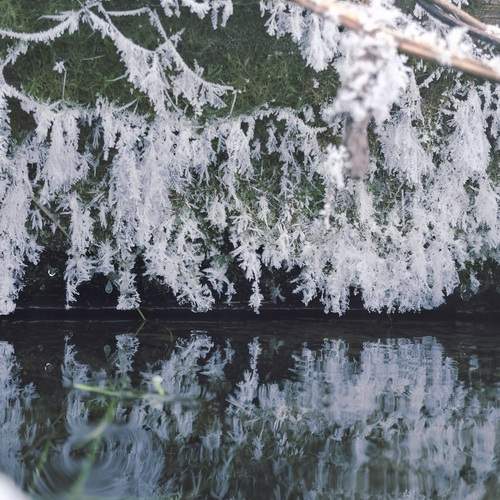Photo #13019208