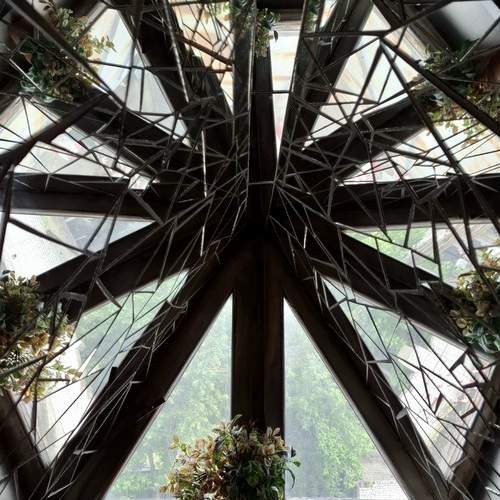 Photo #13019232