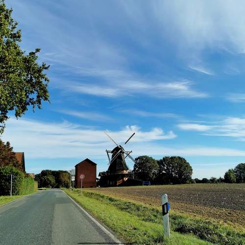 Photo #13019268