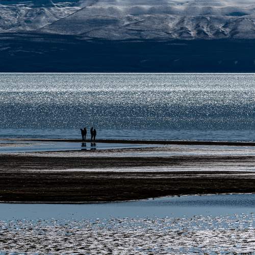 Couples in laguna Nimez El Calafate