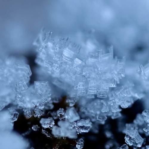 Photo #13019626