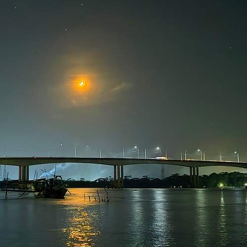 Photo #13019710