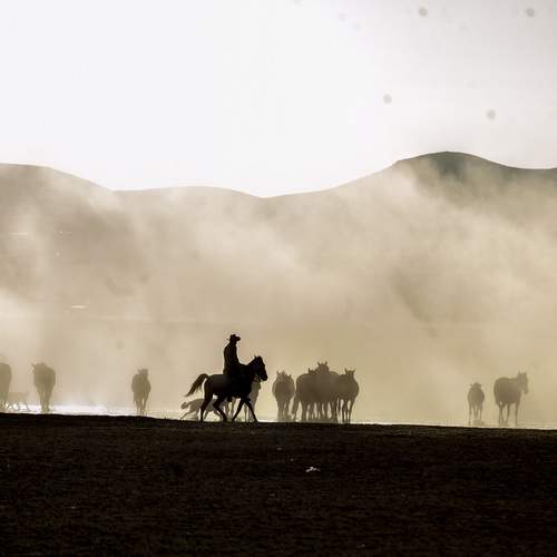 Фотография #13019933