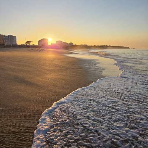 Photo #13020214