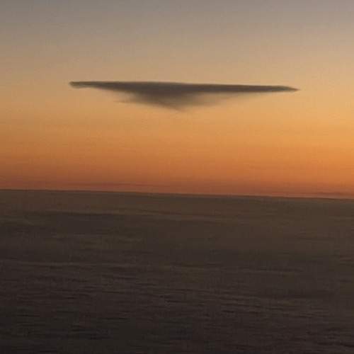 Photo #13020220