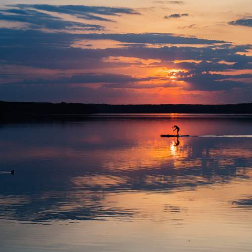 Photo #13020253