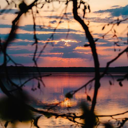 Photo #13020266