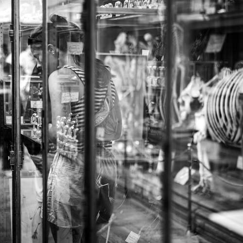 Photo #13020274