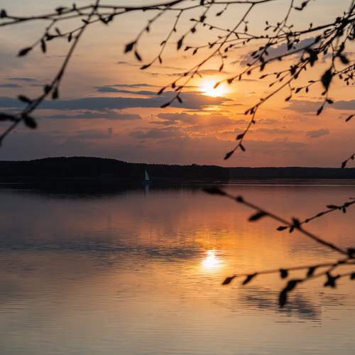 Photo #13020281