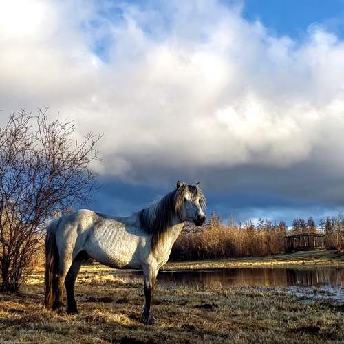 Photo #13020316