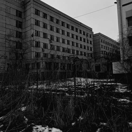 Photo #13020328