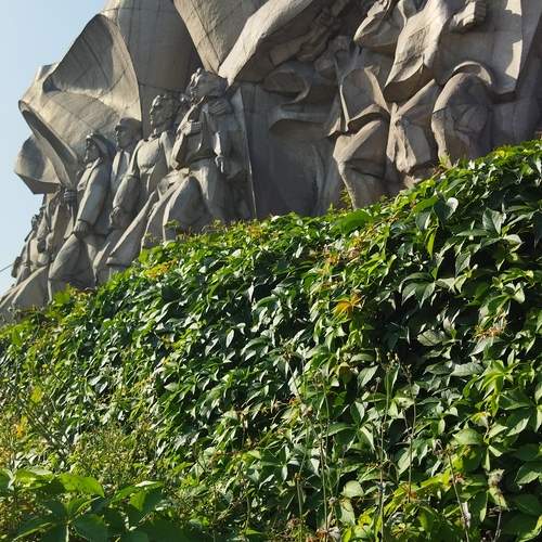 Photo #13020360