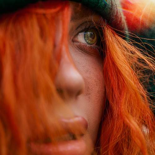 Photo #13020659