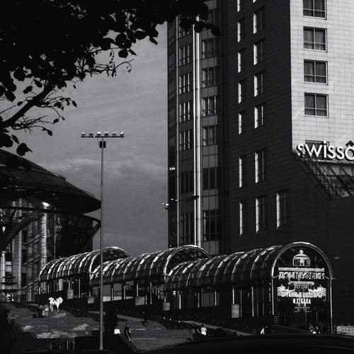 Photo #13020683